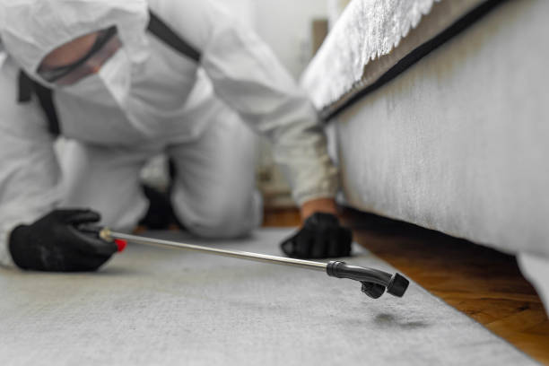 Professional Termite Control technician working in Trenton, GA