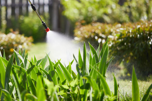 24/7 Emergency Termite Control experts in Trenton, GA