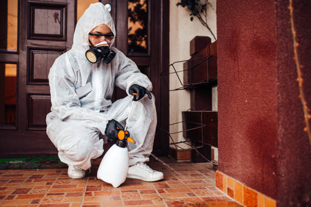 Reliable Termite Control contractor in Trenton, GA by Nex Pest Control