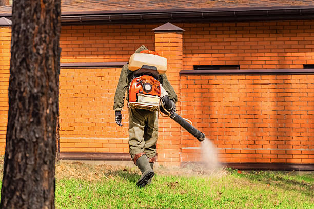 Trusted Rodent Control service in Trenton, GA - Nex Pest Control